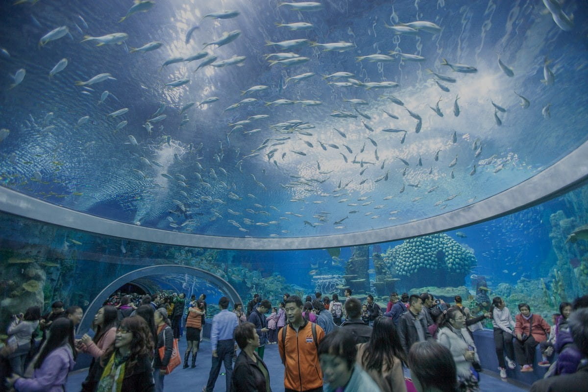 National Oceanographic Museum of Vietnam